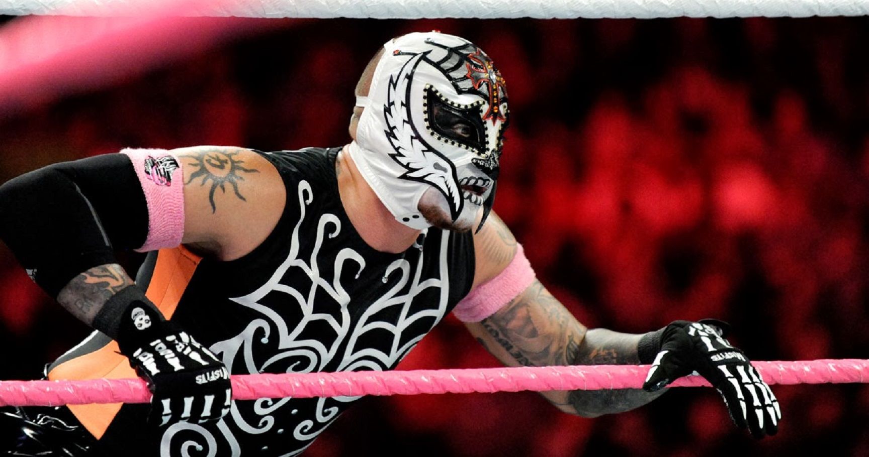 Top 15 Masked Wrestlers In History TheSportster   Rey Mysterio 