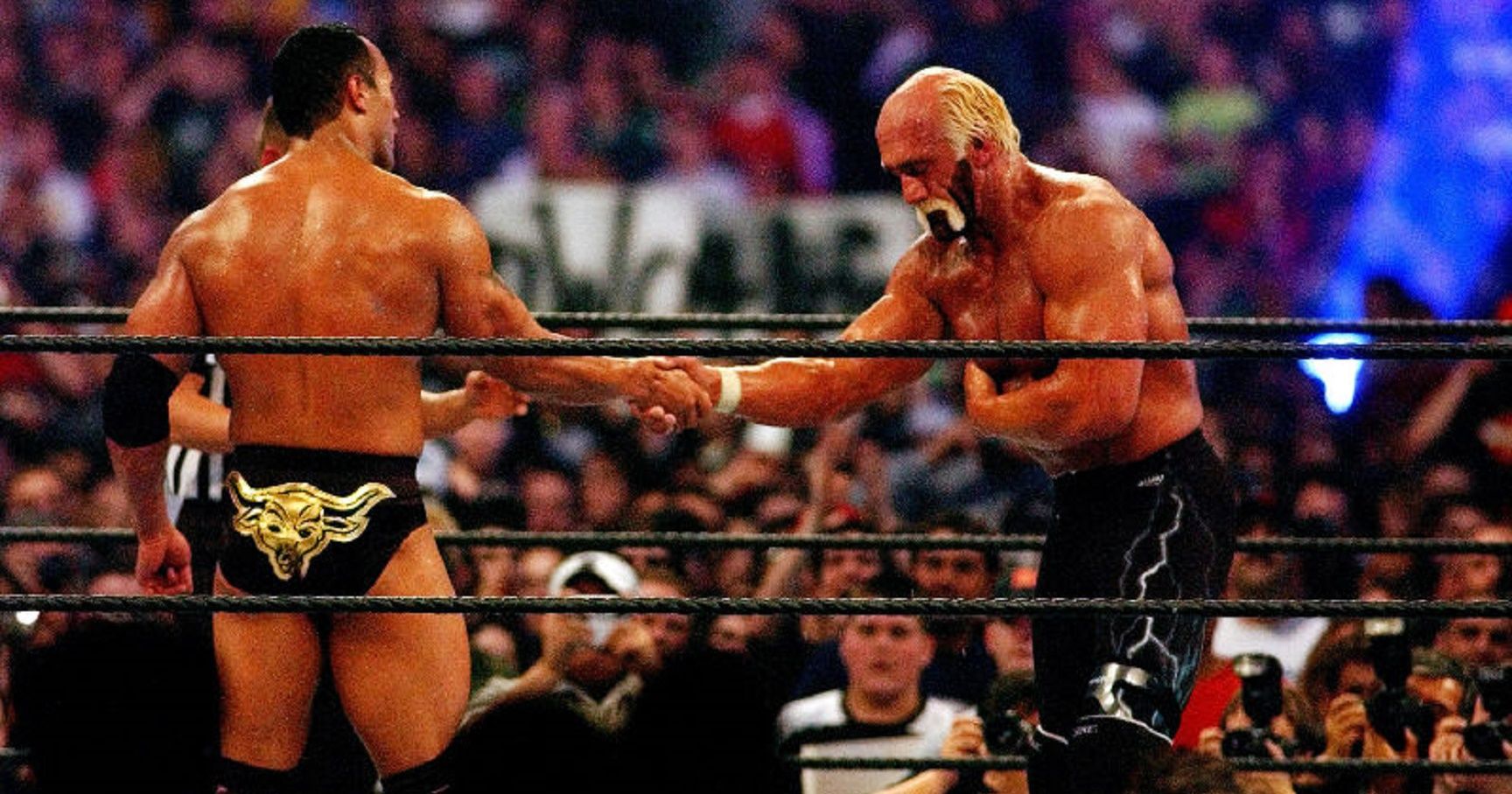 hogan wrestling buddy