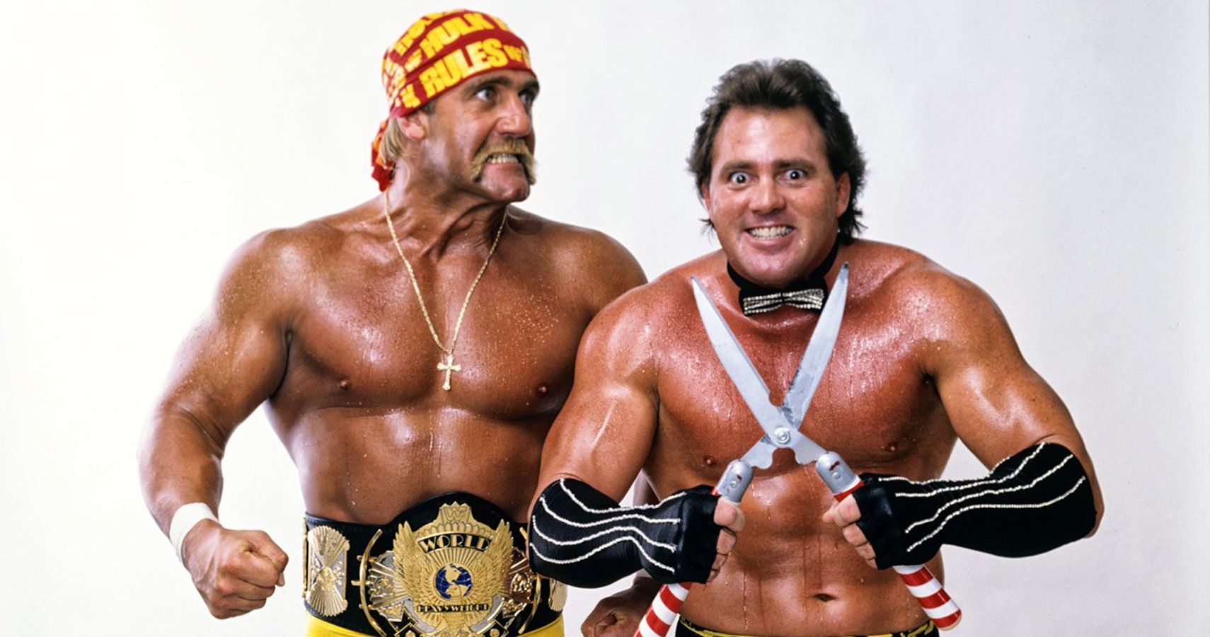 hogan wrestling buddy
