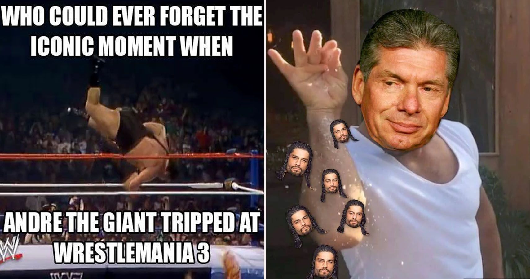 15 WWE Memes That Will Make You Cry With Laughter TheSportster