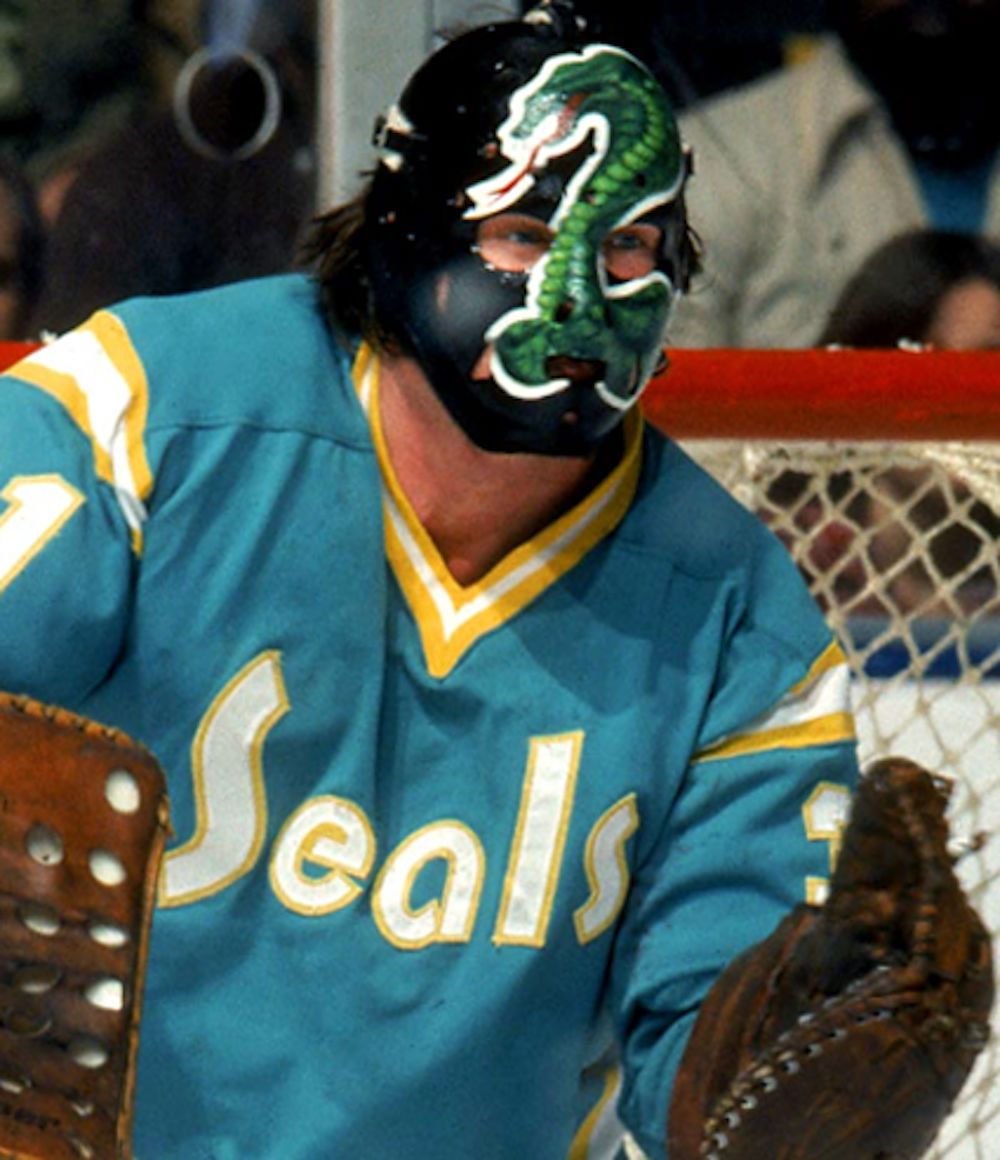 dallas stars seals jersey