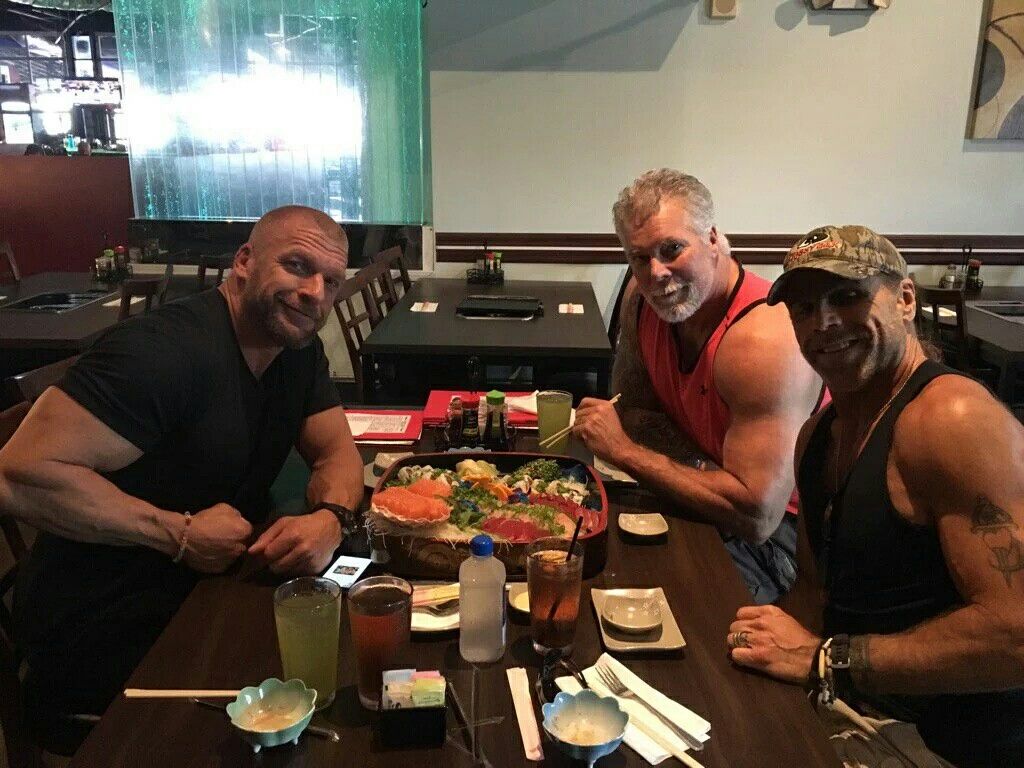 15 Absurd Things Triple H Does To Stay Healthy Thesportster