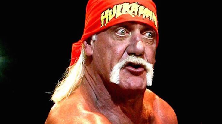 10 Most Memorable Mustaches In Wwe History Thesportster