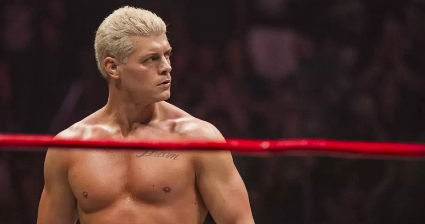 Cody Rhodes Says CM Punk Made AEW "Look Like Dumbasses" But Doesn't ...