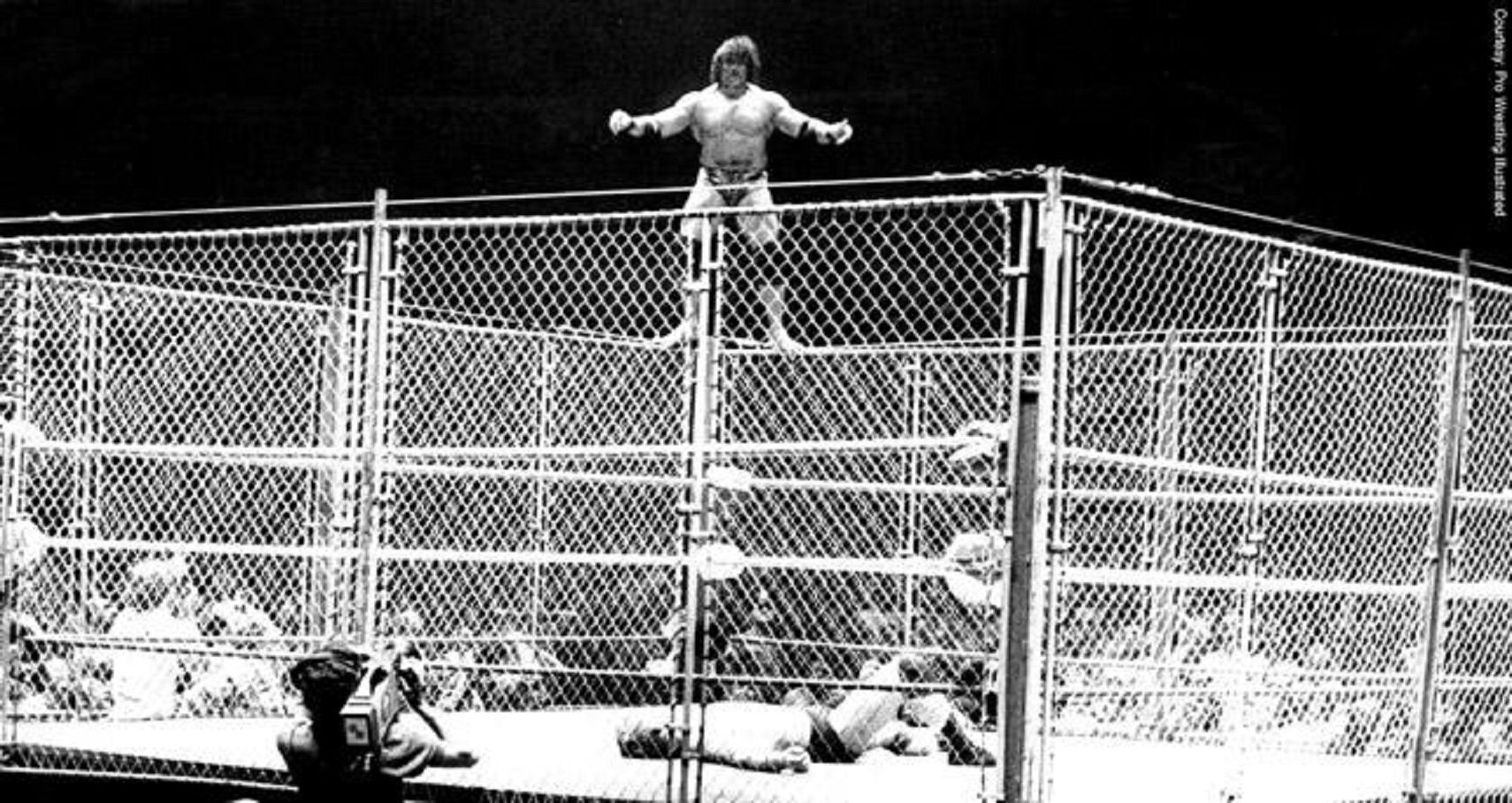 Steel Cage 1995.