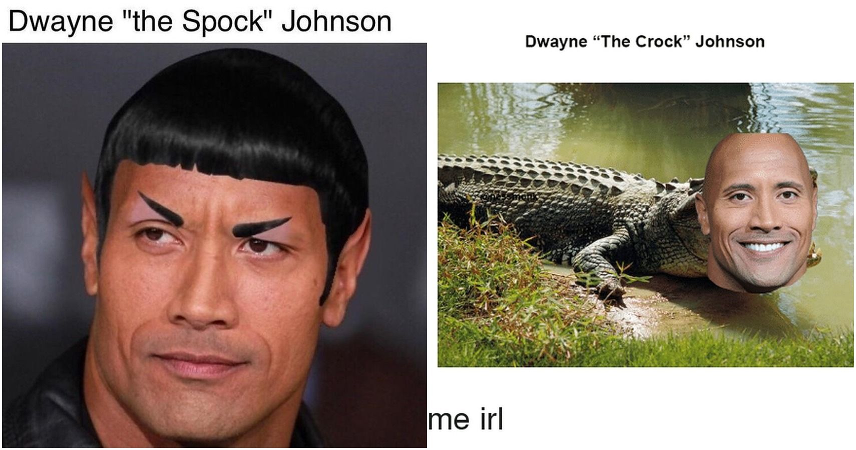 The Great One 10 Hilarious Dwayne The Rock Johnson Memes