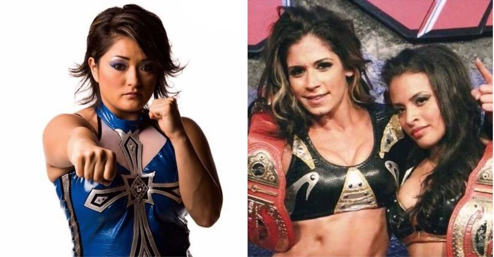 10 Wrestlers You Forgot Held The Tna Knockouts Tag Team Titles